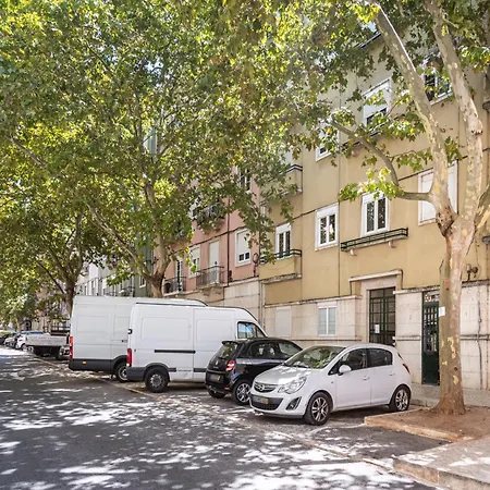 Akicity Alameda Gold